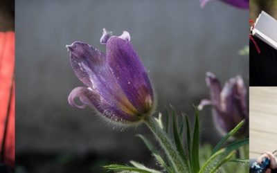 Kannst Du für Dich und Deine Bedürfnisse einstehen