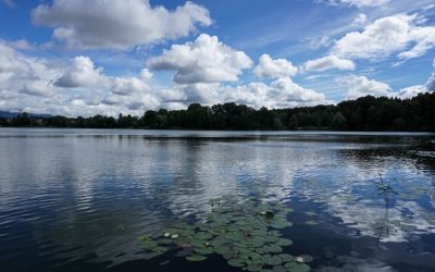 Siehst du das Glück des Augenblicks