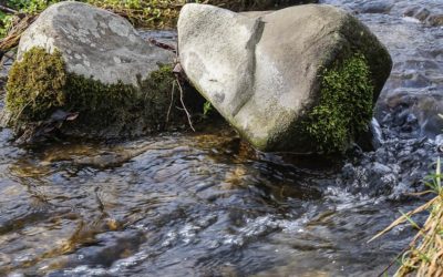 Wie Du mutig die Steine auf Deinem Weg nutzt
