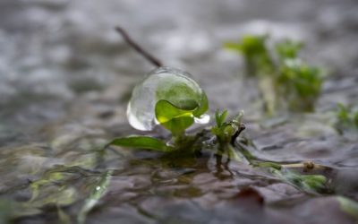 Was du als sensitive Frau von den eisigen Temperaturen lernen kannst