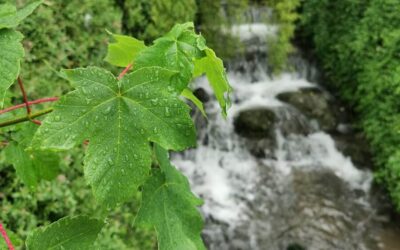 Weshalb du deine Facetten in dir vereinen darfst