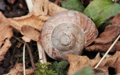 Weshalb es in Ordnung ist sich Zeit für deine Heilung zu nehmen