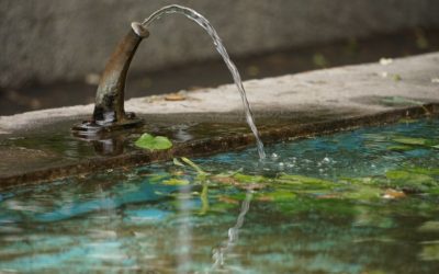 Wie Wasser dich bei deiner Heilung als sensitive Frau unterstützt